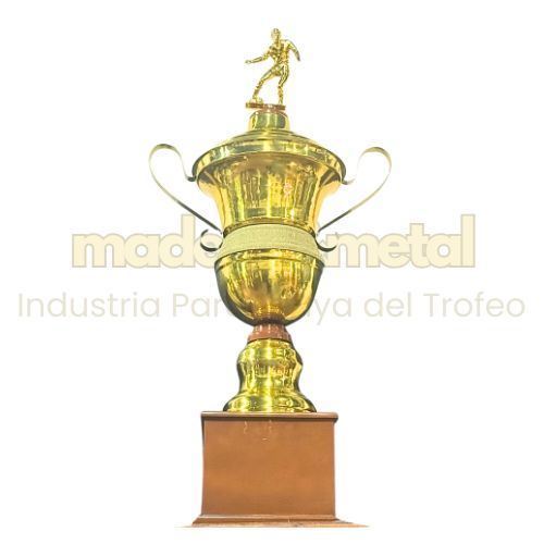 Imagen de Copa de metal con tapa - M5.4060